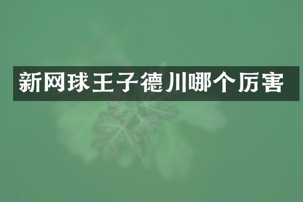 新网球王子德川哪个厉害