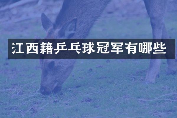 江西籍乒乓球冠军有哪些