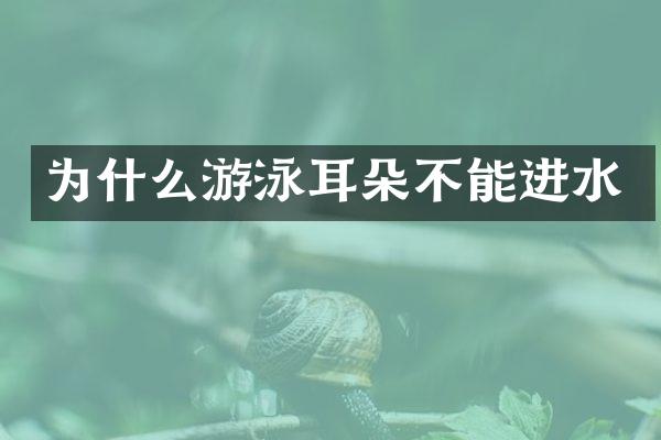 为什么游泳耳朵不能进水