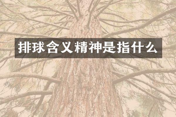 排球含义精神是指什么