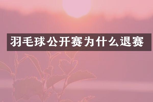 羽毛球公开赛为什么退赛