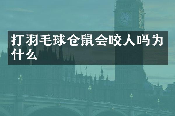 打羽毛球仓鼠会咬人吗为什么