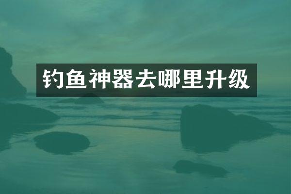 钓鱼神器去哪里升级