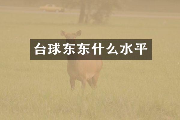 台球东东什么水平