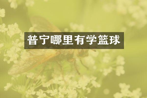 普宁哪里有学篮球