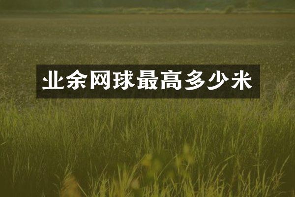 业余网球最高多少米