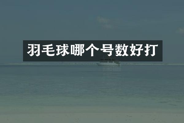 羽毛球哪个号数好打