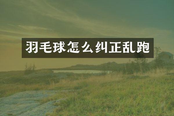 羽毛球怎么纠正乱跑
