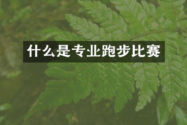 什么是专业跑步比赛