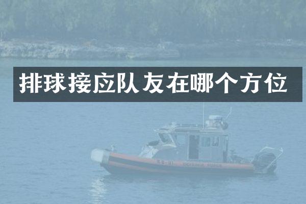 排球接应队友在哪个方位
