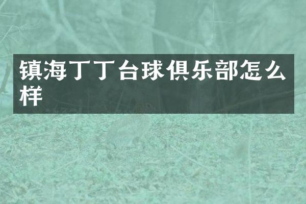 镇海丁丁台球俱乐部怎么样