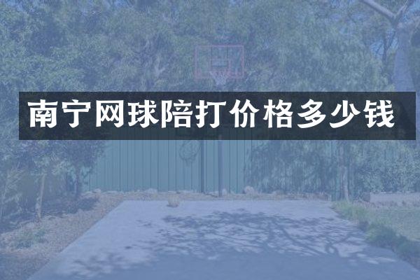 南宁网球陪打价格多少钱