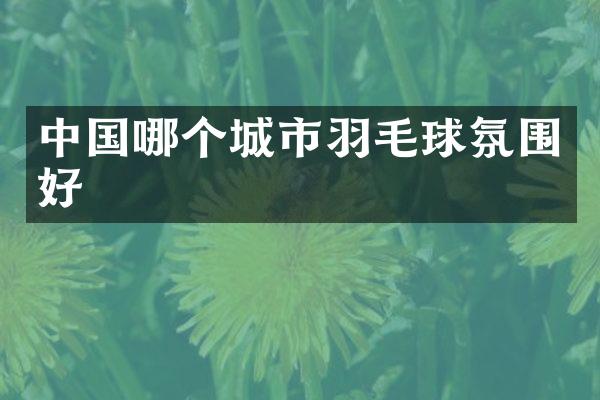 中国哪个城市羽毛球氛围好