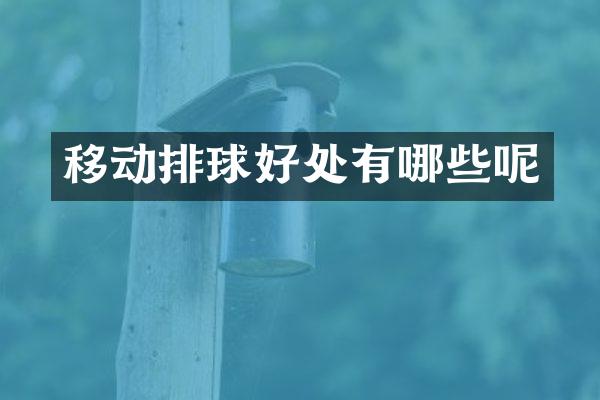 移动排球好处有哪些呢