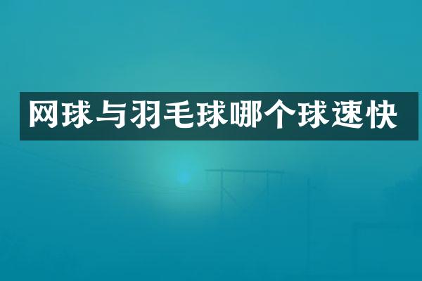 网球与羽毛球哪个球速快