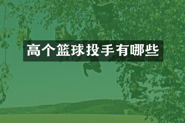 高个篮球投手有哪些