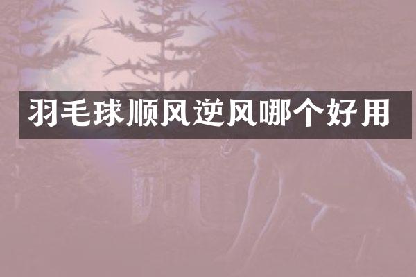 羽毛球顺风逆风哪个好用