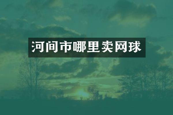 河间市哪里卖网球