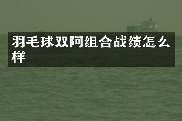 羽毛球双阿组合战绩怎么样