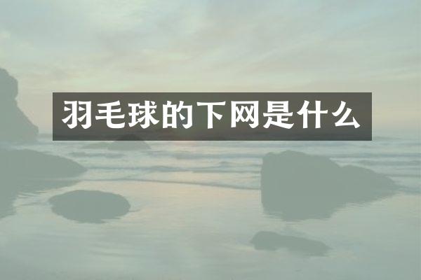 羽毛球的下网是什么