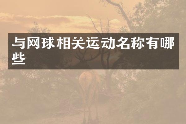 与网球相关运动名称有哪些