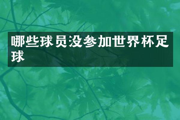 哪些球员没参加世界杯足球