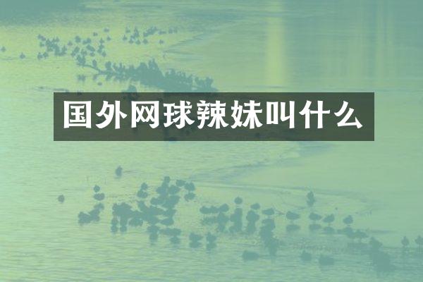 国外网球辣妹叫什么
