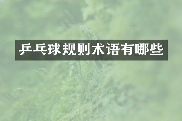乒乓球规则术语有哪些