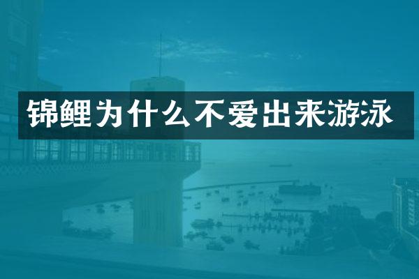 锦鲤为什么不爱出来游泳