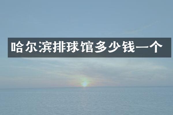 哈尔滨排球馆多少钱一个