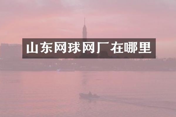 山东网球网厂在哪里