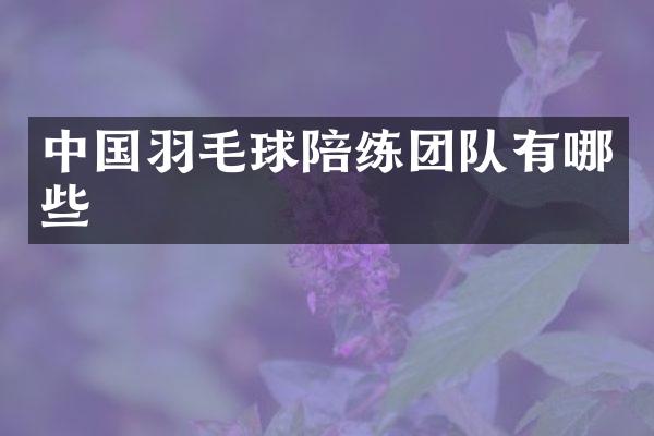 中国羽毛球陪练团队有哪些