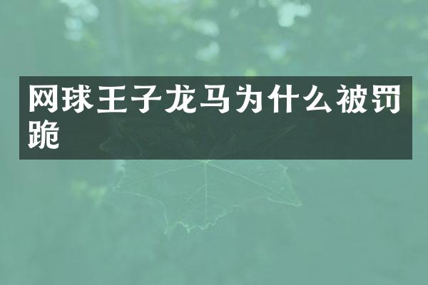 网球王子龙马为什么被罚跪