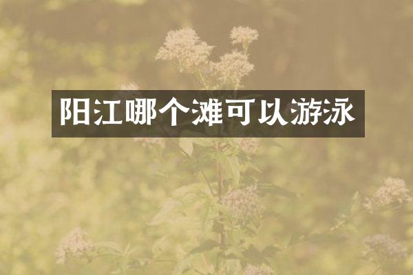 阳江哪个滩可以游泳