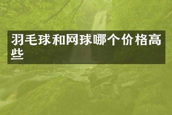 羽毛球和网球哪个价格高些