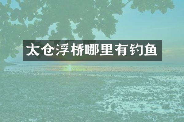 太仓浮桥哪里有钓鱼