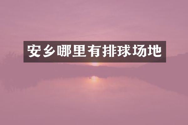 安乡哪里有排球场地