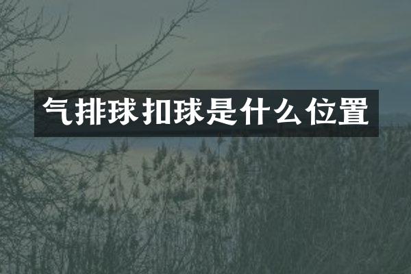 气排球扣球是什么位置