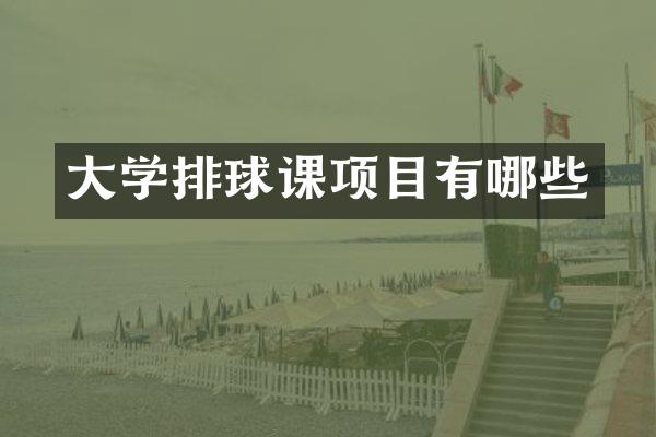 大学排球课项目有哪些