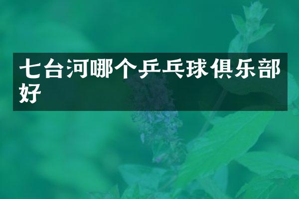 七台河哪个乒乓球俱乐部好