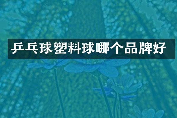 乒乓球塑料球哪个品牌好