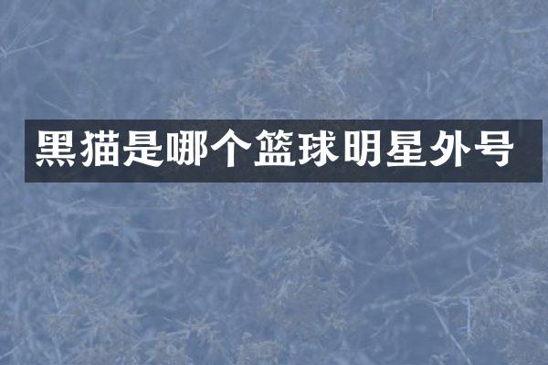 黑猫是哪个篮球明星外号