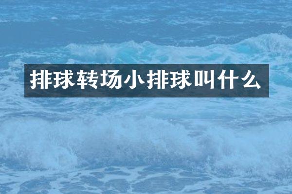 排球转场小排球叫什么