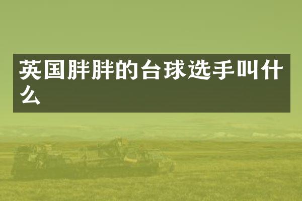 英国胖胖的台球选手叫什么