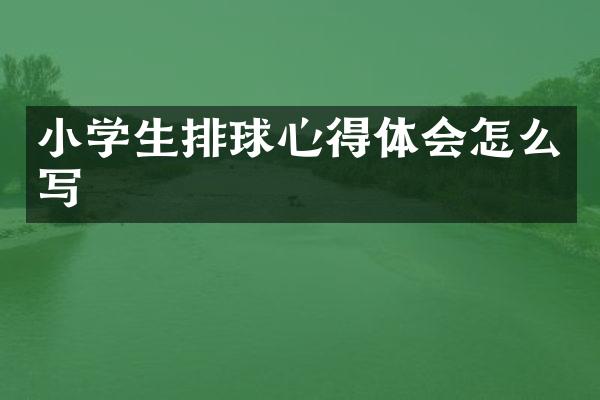 小学生排球心得体会怎么写