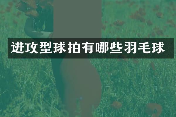 进攻型球拍有哪些羽毛球