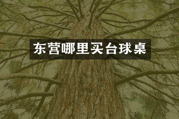 东营哪里买台球桌