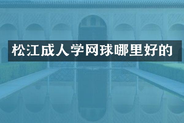 松江成人学网球哪里好的