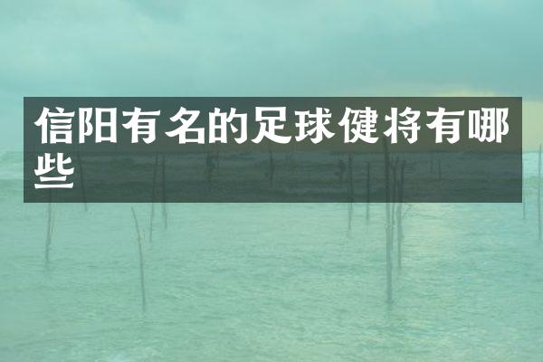 信阳有名的足球健将有哪些