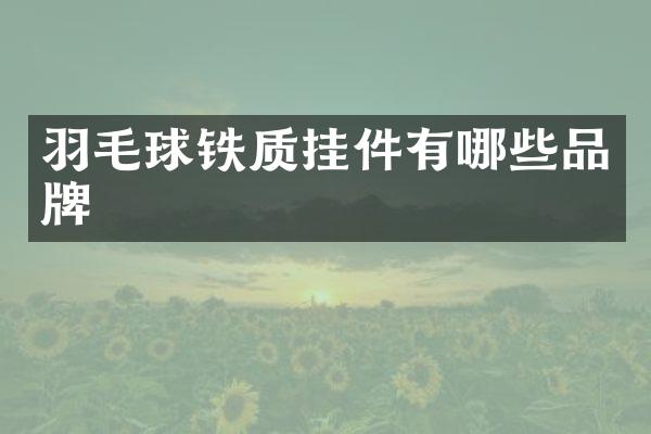 羽毛球铁质挂件有哪些品牌